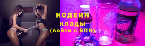 прущие грибы Костерёво