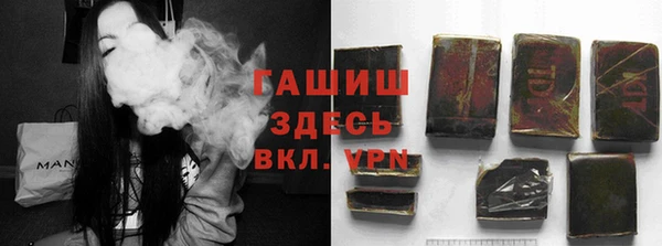 прущие грибы Костерёво