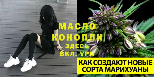 прущие грибы Костерёво