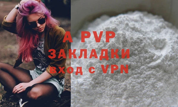 прущие грибы Костерёво