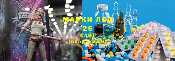 стаф Козловка