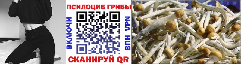 ОМГ ОМГ онион  Снежногорск  Галлюциногенные грибы прущие грибы 